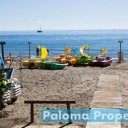 Beautiful In Minerva With Pool Open Year Apartment